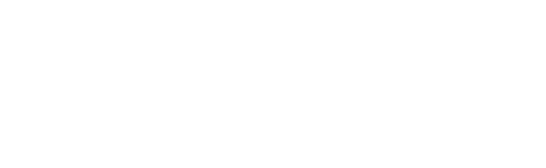 Дублёр