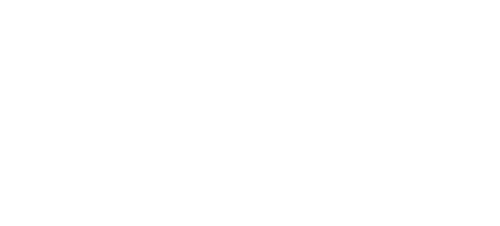Мой партнёр