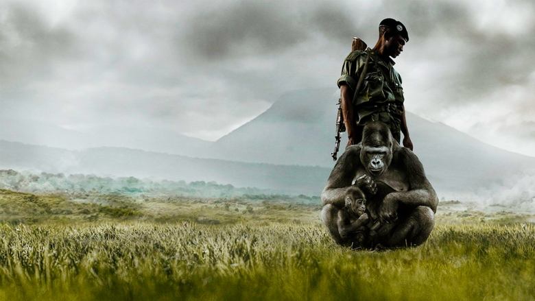 Virunga 1