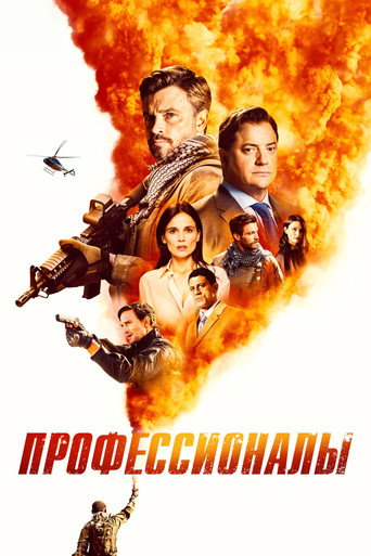 Профессионалы