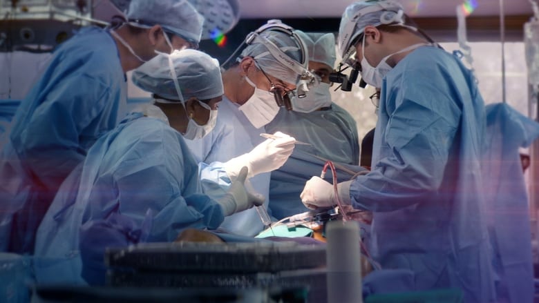 The Surgeon's Cut 1