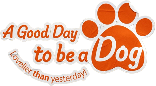 Хороший день, чтобы стать собакой