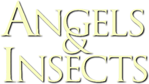 Ангелы и насекомые