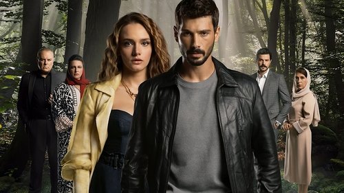 Безграничная любовь 2