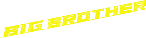 Большой брат