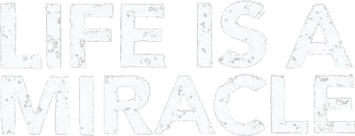 Жизнь как чудо