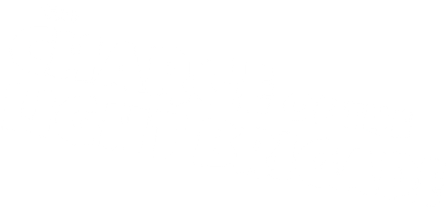 Атака легкой кавалерии