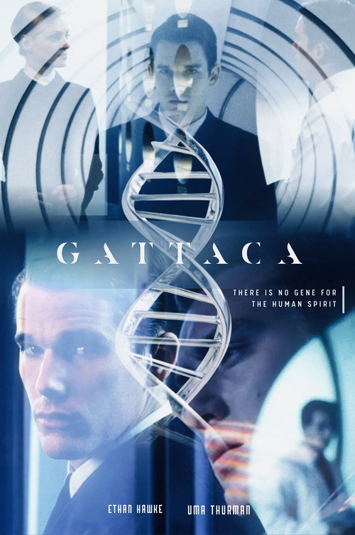Гаттака 6