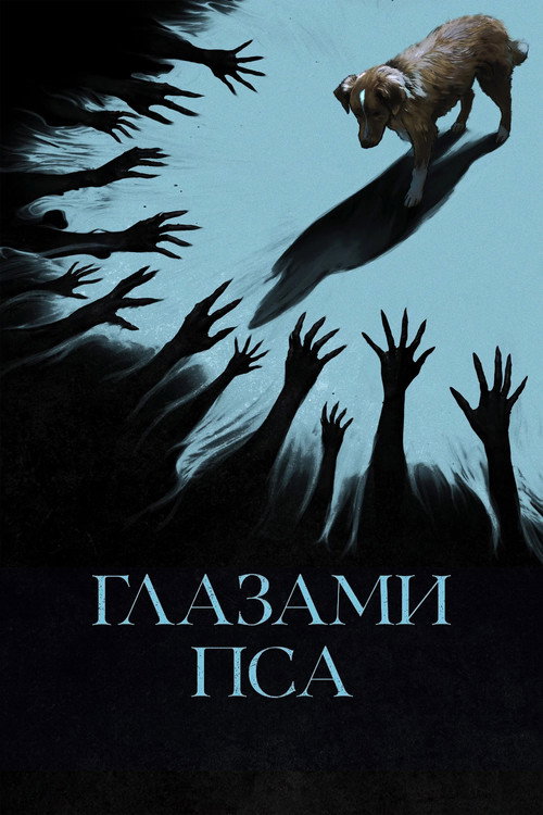 Глазами пса