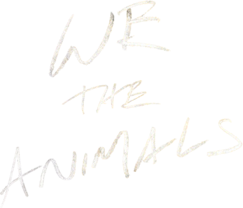 Мы, животные