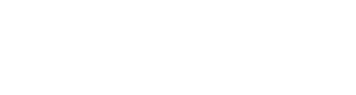 Нация Z