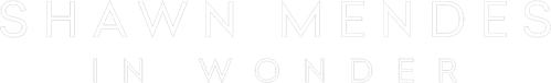 Шон Мендес: In Wonder
