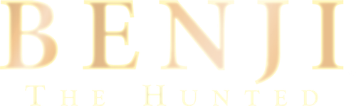 Бенджи потерялся