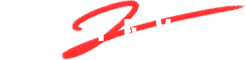 Сторонник 2