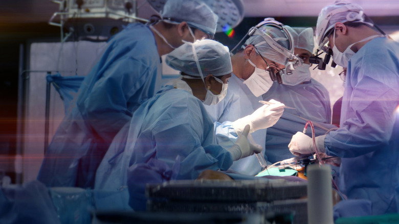 The Surgeon's Cut 3