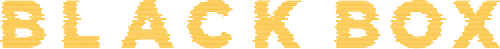 Чёрный ящик