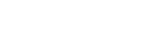 Дневная смена