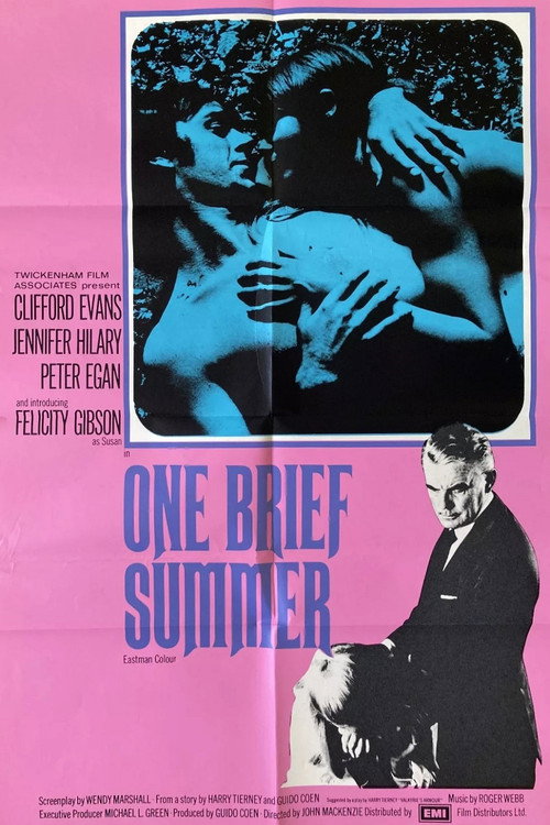 One Brief Summer 1
