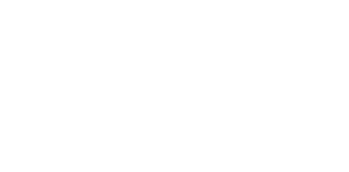 Великий диктатор