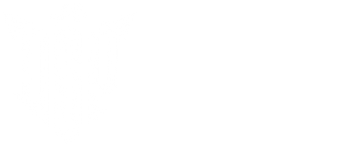 டிஎஸ்பி