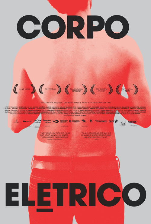 Электрическое тело