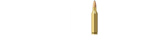 Калибр