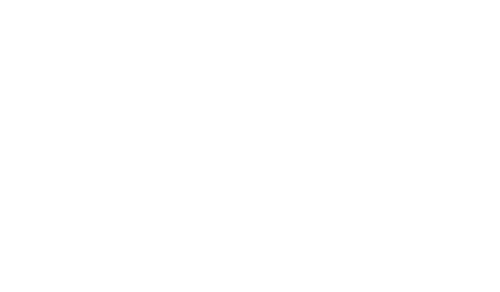 Сочувствие госпоже Месть