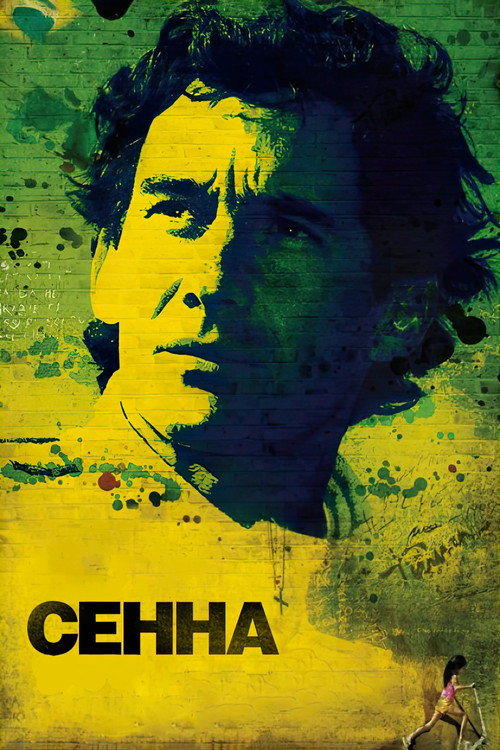 Сенна 3