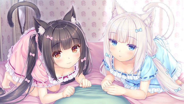 Кошачий рай 10
