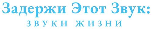 Задержи этот звук: Звуки жизни