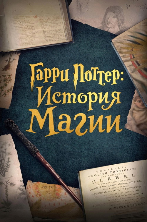 Гарри Поттер: История магии
