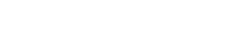 Шоу Винса Стейплса