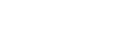 Ублюдские хроники