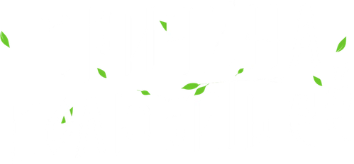 Причина полюбить её