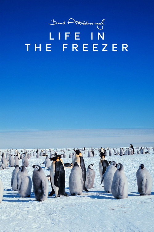 Life in the Freezer