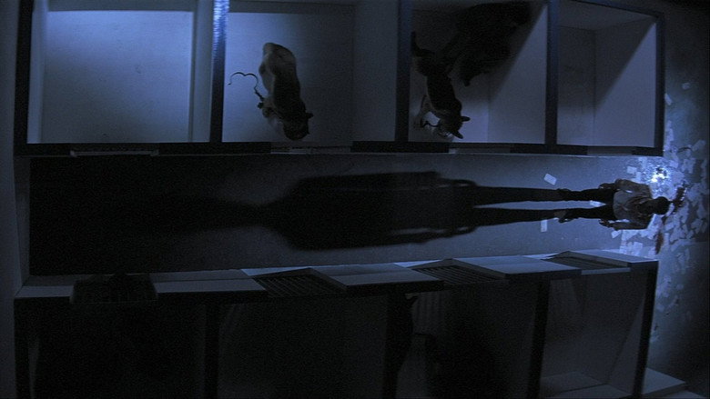 Выборы 2 12