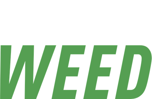 Крестная мама