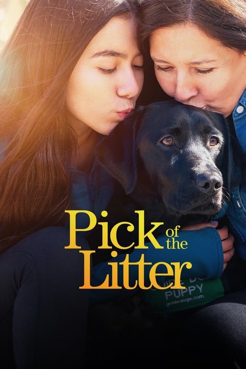 Pick of the Litter 1