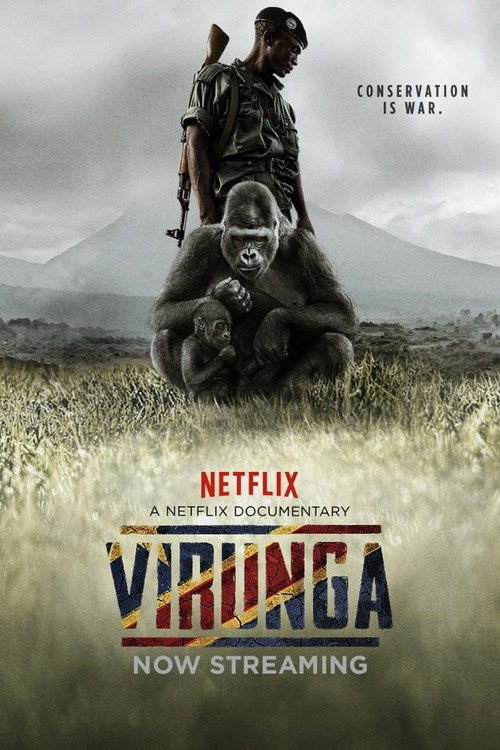 Virunga 3