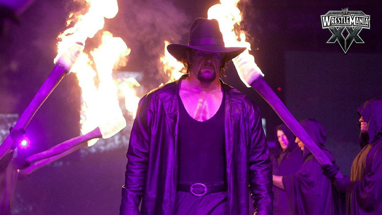 WWE WrestleMania XX 9